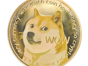 Super duper Doge 2026 NL Rubrik